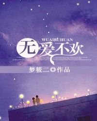 无爱不欢梦筱二小说